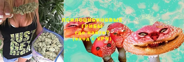 МДПВ Каменск-Шахтинский