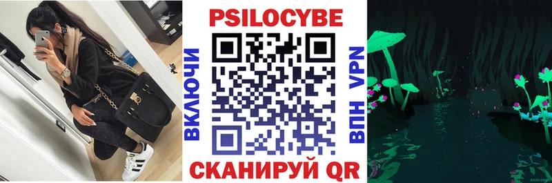 Псилоцибиновые грибы мицелий  Купить где  Пыталово 